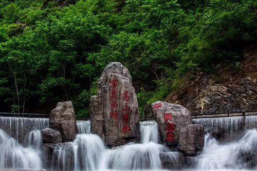 蝎子逃生之地
